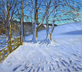 Portail et arbres, hiver, Dam Lane, Derbyshire, 2013